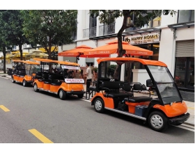 XE ĐIỆN SÂN GOLF CŨ