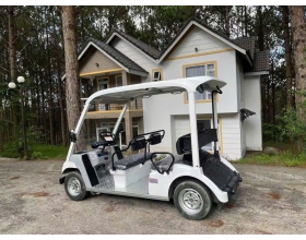 XE ĐIỆN SÂN GOLF CŨ - YAMAHA